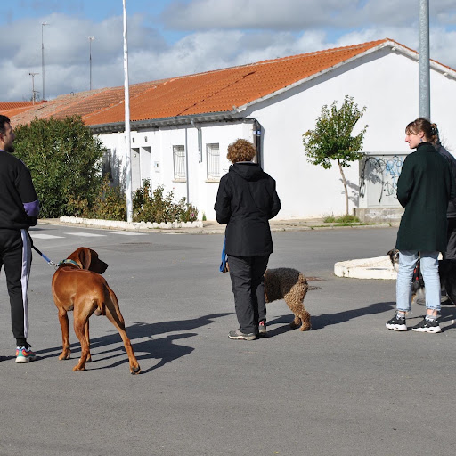 Adiestradores de perros en Salamanca