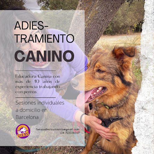 Adiestradores de perros en Sant Adrià de Besòs