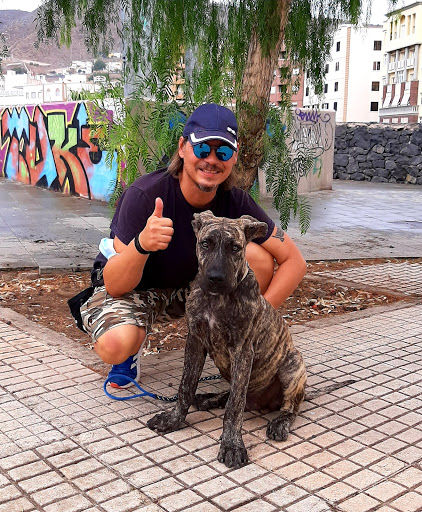 Adiestradores de perros en Santa Cruz de Tenerife