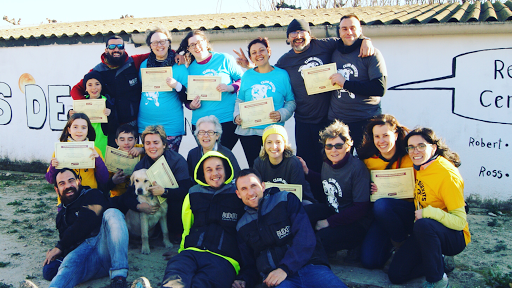 Adiestradores de perros en Tortosa