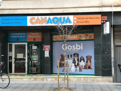 Peluquerías caninas en Huesca