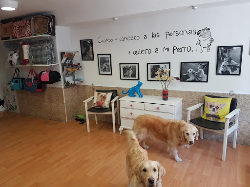 Peluquerías caninas en Mérida