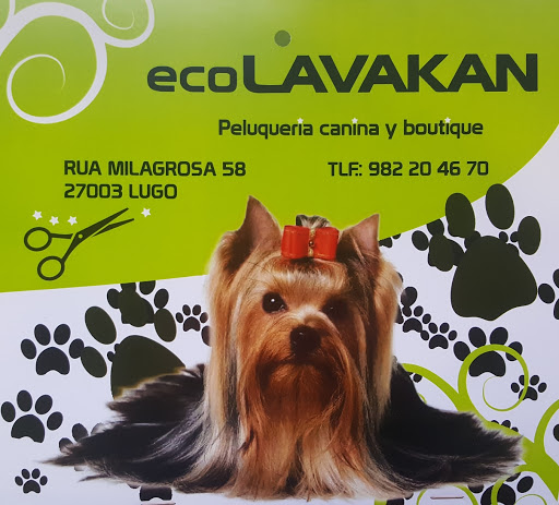 Tiendas de animales en Lugo