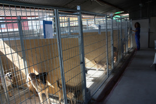 Tiendas de animales en Molina de Segura