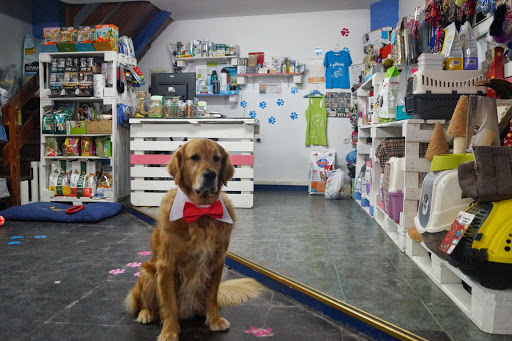 Tiendas de productos para mascotas en Pontevedra