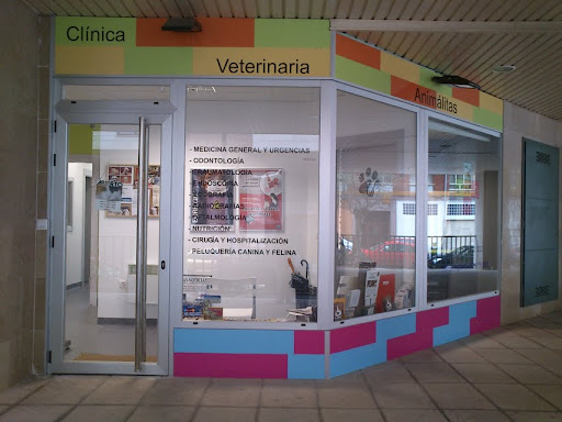 Veterinarios en Oviedo